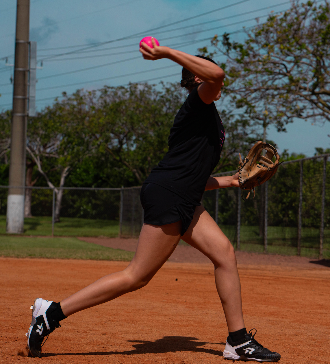 Softball Throwing Book